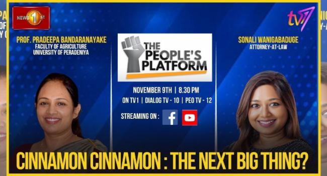 Cinnamon: The next big thing |THE PEOPLES PLATFORM